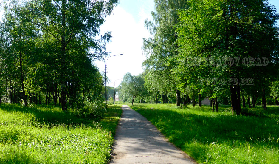 Никольский собор в городе Павловске. Санкт-Петербург. Лучшие фотографии церквей и соборов на сайте S-Pb.Biz.